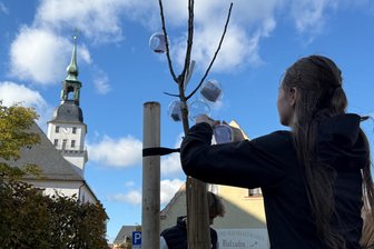 Frankenberg und Flöha: Schüler hängen ihre Berufswünsche an neu gepflanzte Bäume - Zehntklässler in Frankenberg haben ihre Berufswünsche an einen Apfelbaum gehängt.