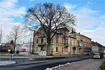 Frankenberg verliert eine markante Rotbuche: Der Baum wird am Dienstag gefällt - Diese Rotbuche gegenüber dem Lidl-Markt in Frankenberg soll am Dienstag gefällt werden.