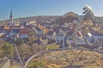 Frankenberg: Wieder Störche auf Webcam-Esse gelandet - Emsige Bemühungen um Nachwuchs: 2026-Störche auf der Esse in Frankenberg.