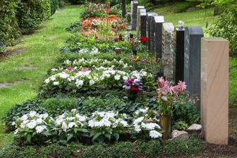 Frau gräbt fremde Blumen auf Zwickauer Hauptfriedhof aus - Auf dem Zwickauer Hauptfriedhof hat eine Frau sechs Blumen ausgegraben, die nicht ihr gehörten.