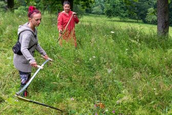 Frauen lassen Sensen im Wechselburger Schlosspark kreisen -