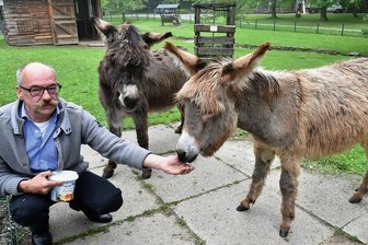 Freiberg: Auch Tierpark und Tierheim vom Unwetter betroffen - Im Tierpark Freiberg - hier ein Archivfoto mit Leiter Peter Heinrich Eselin Ella und Esel Christoph - drang Schlamm bis zum Gehege der Esel. Foto: Eckardt Mildner/Archiv