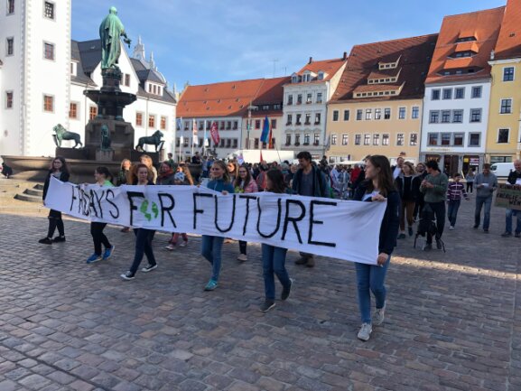 Freiberg demonstriert für das Klima - Am Nachmittag demonstrierten zahlreiche, meist junge, Leute. 