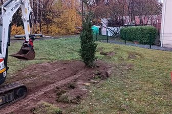 Freiberg: Ersatz für Weihnachtsbaum in Zug gepflanzt - Im Freiberger Stadtteil Zug ist am Dienstag ein neuer Weihnachtsbaum gepflanzt worden. Das plötzliche Verschwinden seines „Vorgängers“ wenige Tage zuvor hatte bei Anwohnern Bestürzung ausgelöst.