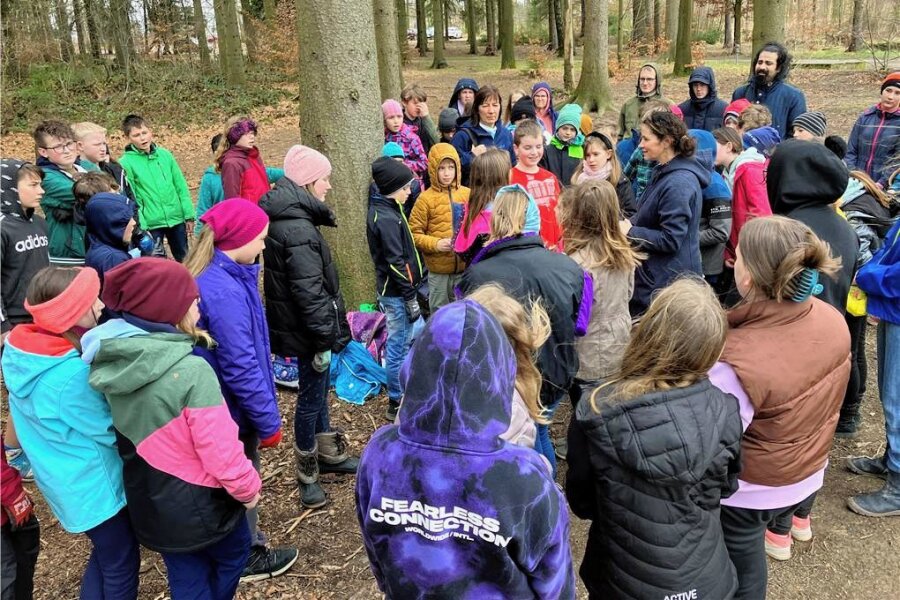 Freiberg: Für einen besseren Wald - Die Schüler der FGS Montessori Freiberg reinigten den Stadtwald Freiberg. 
