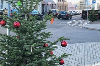 Freiberg: Geschmückte Weihnachtsbäume zieren die Bahnhofsvorstadt - Mit roten Kugeln und bunt bemaltem Holzschmuck verziert ziehen die Weihnachtsbäume in der Bahnhofsvorstadt die Blicke auf sich.
