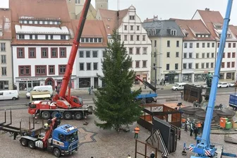 Freiberg hat seinen Weihnachtsbaum - 