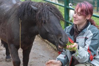 Freiberg: Idefix muss wieder auf die Waage - 