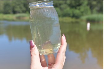 Freiberg: Immer noch Wurmlarven im Waldbad? - Mit bloßem Auge nicht sichtbar sind Wurmlarven, die sich derzeit im Wasser des Waldbades befinden könnten.
