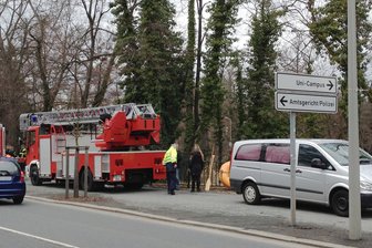 Freiberg: Leiche aus Teich geborgen - Polizei bittet um Hinweise - Am Dienstagvormittag ist aus einem Teich in Freiberg eine Frauenleiche geborgen worden.