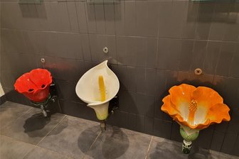 Freiberg: Leser melden weitere „stille Örtchen“ mit dem besonderen Etwas - Passend zum Gartencenter in voller Blüte: Die Toilettenanlage in Leighlinbridge im irischen County Carlow.
