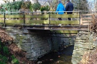 Freiberg: Naturschutzbund ruft zum Froschlaichzählen auf -