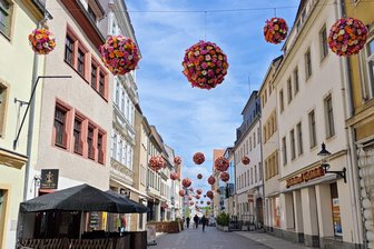 Freiberg packt die Blumenbälle weg: Was kommt jetzt? - 