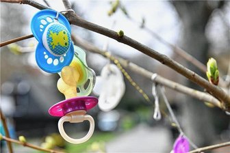 Freiberg: So heißen die im Mai geborenen Kinder - In Freiberg wurden im Mai 54 Kinder geboren, im Bild der Schnullerbaum im Tierpark Freiberg.