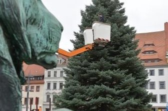 Freiberg sucht den Weihnachtsbaum - Eine 15 Meter hohe Kolorado-Tanne zierte im vergangenen Jahr den Obermarkt.