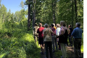 Freiberg: Waldspaziergang zum Tag der Artenvielfalt geplant - Zum Tag der Artenvielfalt wird in Freiberg ein Spaziergang angeboten.