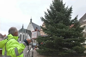 Freiberg: Weihnachtsbaum vom Untermarkt löst in Zug Tränen aus - Jochen Vogel und Falk Hermann von der Firma ELT Lippmann aus Brand-Erbisdorf schmücken den Baum auf dem Untermarkt in Freiberg mit zwei Lichterketten mit je 50 Lampen. Der Baum stammt aus Zug – dort wird er schmerzlich vermisst.