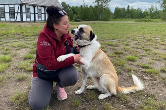 Freiberg: Wer gibt Polly ein neues Zuhause? - Manuela Krumpein von Tiergerecht und ihre Mitstreiter suchen für Polly eine neue Familie. Foto: Heike Hubricht