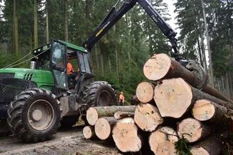 Freiberger Holzernte beginnt im Februar -