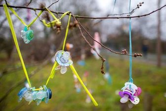 Freiberger Tierpark bekommt einen Schnullerbaum -