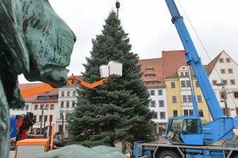 Freiberger Weihnachtsbaum steht - Der diesjährige Weihnachtsbaum wird aufgebaut.