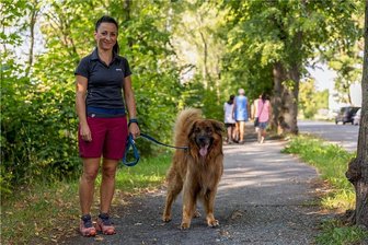 "Freie Presse" berichtete über tragisches Schicksal: Riesiges Interesse an Schäferhund Fritz -  Der zwölfjährige Schäferhund-Hovawart-Mix ist fit und mobil, doch bis heute heute harrt er in einem Notquartier im Tiergarten Falkenstein aus. 