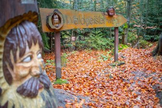 „Freie Presse“-Herbstwanderung führt zu den Waldgeistern des Erzgebirges - Auf dem Waldgeisterweg an den Greifensteinen kann man Fabelwesen begegnen.