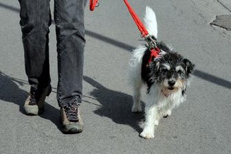 Freiwilliger Dienst für jedermann -
