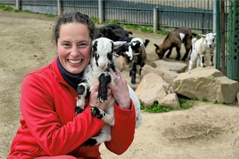 Freude über Geburtenboom im Sonnenlandpark Lichtenau - Tierpflegerin Sandra Paulus hat ein Zicklein in den Arm genommen. 16 Lämmer - darunter Drillinge - sind seit Ostern zur Welt gekommen. Die weißen, schwarzen, braunen und gescheckten Lämmer werden jetzt verkauft. 