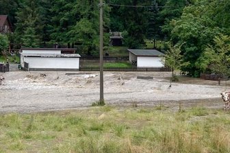Friesenbach wird zum reißendem Strom - So sah der Friesenbach im Bereich der Rangmühle am Dienstagabend aus.