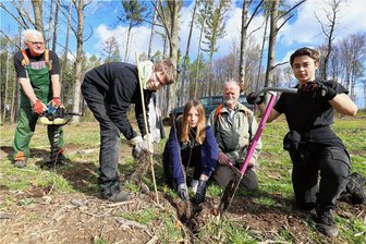 Frische Bäume für Freiberg und Krummenhennersdorf: Schüler forsten Stadtwald und Grabentour auf - Klaus Bernhard, Peer Malte Wilhelm, Samantha Brooke Reuter, Albrecht von Schönberg und Florian Martin (v.l.) packen gemeinsam an, um den Wald an der Grabentour wieder aufzuforsten. 