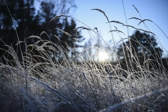 Frost, Sturm und schöne Herbsttage: Mit diesem Wetter-Mix startet Sachsen in den Oktober - Nachts kann es in einigen Lagen Sachsens zu Frost kommen.