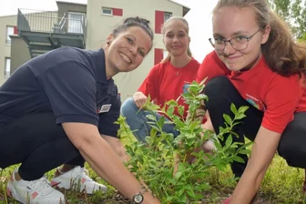 Früchte einer Pflanzaktion sollen Speiseplan von Senioren bereichern - Wendy Nestler (l.), Ausbilderin der Thumer Jugendrotkreuz-Gruppe und zugleich Sozialbetreuerin im Seniorenzentrum, pflanzt mit Linda Voigt (r.) und Sophia Bleyl Johannisbeersträucher.