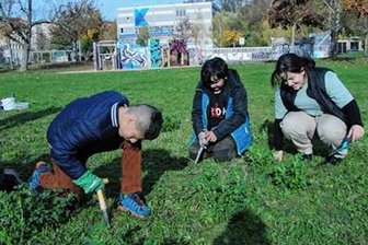 Frühblüher in Stadtteilen gepflanzt - Auf der Blühwiese am Konkordiapark haben Schüler und weitere Helfer die ersten von über 3000 Frühblühern gepflanzt.