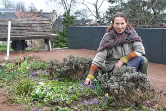 Frühjahrs-Kräuterführung im Augustusburger Kurfürstin-Anna-Garten - Kräuterfrau Elisabeth Püschmann hat die ersten Kräuter im Kurfürstin-Anna-Garten in Augustusburg entdeckt.