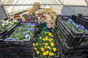 Frühjahrsbepflanzung: Plauen blüht auf - Die Gärtnerei Schlücker in Neundorf hatte die Hornveilchen und Stiefmütterchen zusammengestellt, die in Plauen gepflanzt wurden. Die Gärtnerinnen Bernadette Fischer (links) und Claudia Heidner haben die Frühjahrsblüher abgeholt.