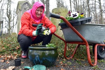 Frühjahrsputz in Grünberg, Börnichen und Schönerstadt - In Börnichen hat Martina Nobis vor drei Jahren Stiefmütterchen gepflanzt.
