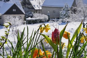 Frühling in Sicht - 