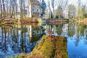 Frühling inspiriert Fotofreunde - 