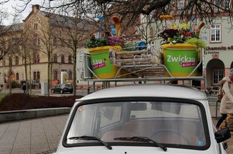 Frühlingserwachen in der Zwickauer Innenstadt -