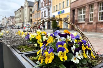 Frühlingserwachen in Mittweida: Am Freitag ist wieder Nachtshopping - Frühlingserwachen ist das Motto der Shoppingnacht in Mittweida. Passend dazu zeigt sich die Rochlitzer Straße.