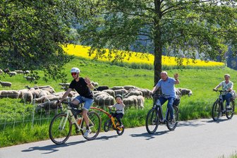 Frühlingsfeste, Dampfzug und Miniaturen: Das lange Mai-Wochenende rund um Chemnitz - Ob auf dem Rad, zu Country-Musik oder mit der Bahn: Das Wochenende bietet alles an. Foto: