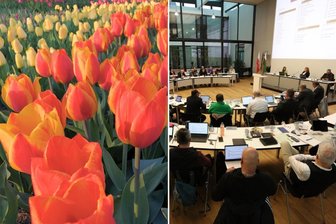 Frühlingsgefühle im Zwickauer Stadtrat: Plötzlich haben sich alle lieb - Blumen wurden im Stadtrat nicht überreicht, es hätte aber zur Stimmung im Saal gepasst.