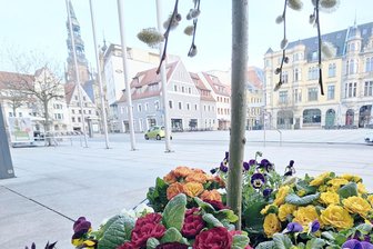 Frühlingsmotive gesucht: Zwickau startet Fotowettbewerb - Bilder vom Frühling werden für einen Wettbewerb gesucht.