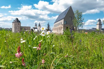 Frühlingstraum auf dem Plauener Hochschul-Campus -