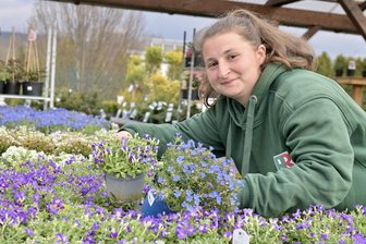 Frühlingstrends im Erzgebirge: Worauf Gartenmärkte in dieser Saison setzen - Swenja Manon Mittag kümmert sich im Gartencenter Gebrüder Roth in Zwönitz um die Pflanzen.