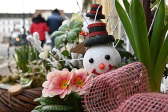Frühlingswetter in Rochlitz und Mittweida: Gibt es schon einen Run auf Frühblüher in den Blumenläden? - Temperaturen über 10 Grad Celsius am frühen Nachmittag des 30. Januar in Rochlitz: Gibt es jetzt schon einen Run auf Frühblüher in den Blumenläden?