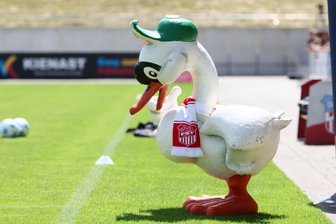 FSV Zwickau: Platz für Punktspiel-Generalprobe gefunden - Der FSV Zwickau muss derzeit im Training improvisieren. Die Rasenplätze sind aufgrund der Kälte nicht bespielbar.