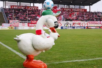 FSV Zwickau und sein „Finale daheeme“: „Wir könnten Tickets für zwei Endspiele verkaufen“ - Zumindest der FSV-Schwan hat seinen Platz im Pokalfinale sicher.
