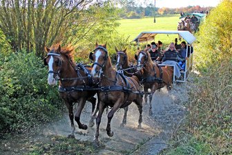 Fuchsjagd des Ponysportvereins Wenigenauma sorgt im Westvogtland für Aufsehen - Max Schubert aus Langenbach hier in der Wasserdurchfahrt.